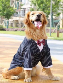 Костюм большой собаки Платье Свадебный костюм собаки Золотистые Волосы Хаски Лабрадор Одежда для больших Собак Зоотовары