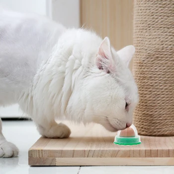 Для кошек Средство для увеличения количества питьевой воды для котят Полезные кошачьи закуски Кошачья мята, леденцы для облизывания, питательный гель, игрушка с энергетическим шариком 3