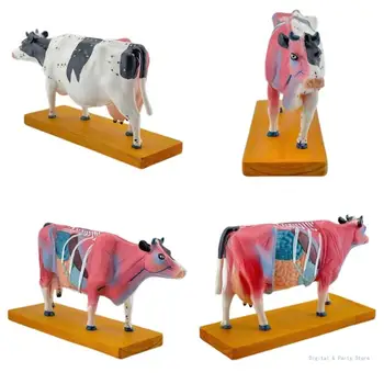 Анатомическая модель Коровы животного M17F Анатомическая модель Коровы для иглоукалывания и прижигания, 3