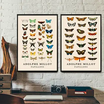 Винтажный плакат с принтом бабочки от Адольфа Мийо, Офисный Декор, Ботаническая Иллюстрация, Плакат с бабочкой, Подарок, Креативное Искусство Бабочки